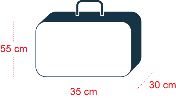 swiss trolley case 55cm